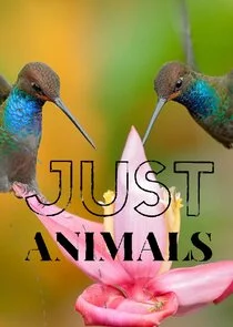 Póster de Just Animals