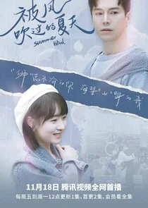 Affiche de Summer Wind