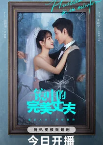 Pôster de The Perfect Husband in the Mirror