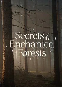 Póster de Secrets of the Enchanted Forests