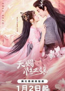Affiche de The Little Red Matchmaker