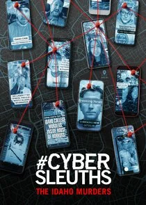 Poster di #CyberSleuths: The Idaho Murders