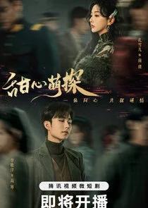 The Soulmate poster