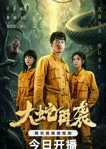 Póster de The Serpent Attack