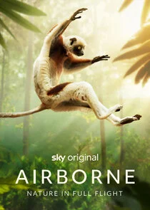 Póster de Airborne