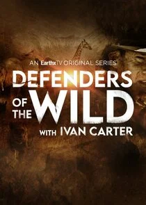 Defenders of the Wild poster