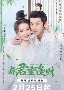 When We Meet Again poster
