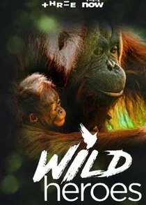 Pôster de Wild Heroes