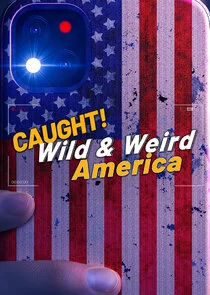 Póster de Wild & Weird America