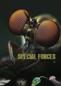 Pôster de Animal Special Forces