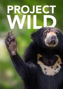 Pôster de Project Wild