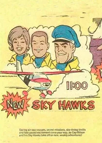 Skyhawks poster