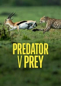 Pôster de Predator vs Prey