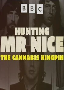 Affiche de Hunting Mr Nice: The Cannabis Kingpin