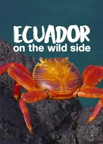 Pôster de Ecuador: On the Wild Side