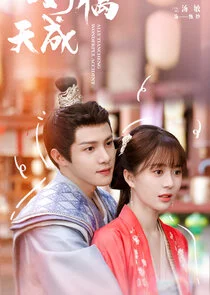 Plakat Ally Tiancheng Wonderful Accident