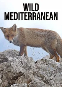 Pôster de Wild Mediterranean