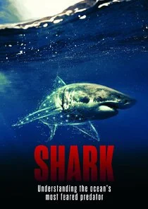 Pôster de Shark