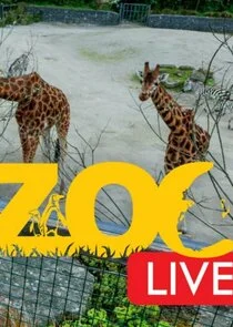 Pôster de Zoo Live