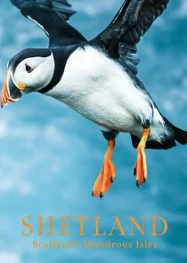 Póster de Shetland: Scotland's Wondrous Isles