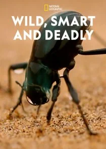 Pôster de Wild, Smart and Deadly