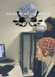 Póster de Los secretos del cerebro