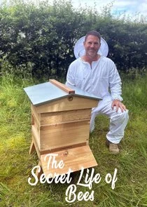 Pôster de The Secret Life of Bees