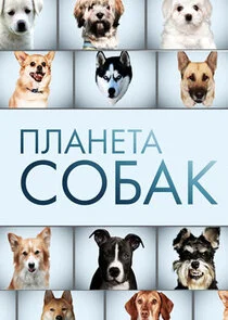 Póster de ÄĹşÄÂ»ÄÂ°ÄËťÄÂµĹâ€šÄÂ° ĹÂÄÄľÄÂ±ÄÂ°ÄĹź