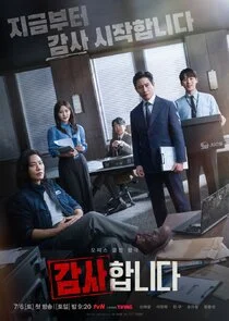 Plakat The Auditors