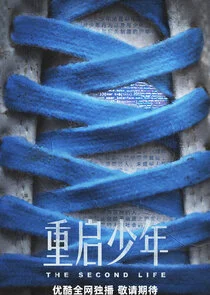 Affiche de The Second Life