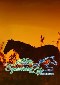 Equestrian Life in the Palm Beaches afişi