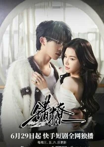 Póster de Wrong Love