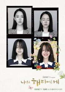 Pôster de Minha Querida Hyeri