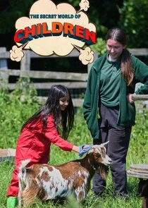 Póster de The Secret World of Children