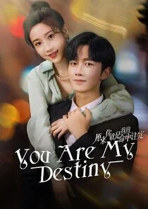 Affiche de You Are My Destiny