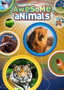 Affiche de Awesome Animals
