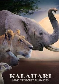 Affiche de Kalahari: Land of the Secret Alliances
