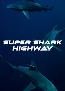Affiche de Super Shark Highway