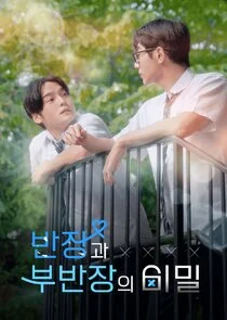 Affiche de The Secret of Male Students