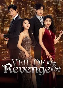Affiche de Veil of Revenge