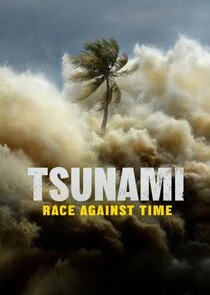 Tsunami: Wettlauf gegen die Zeit Poster