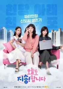 Poster di Sorry Not Sorry