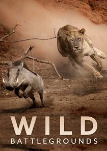 Affiche de Wild Battlegrounds