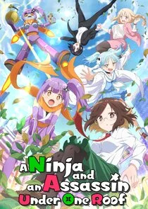 Póster de A Ninja and an Assassin Under One Roof