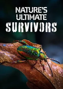 Affiche de Nature's Ultimate Survivors