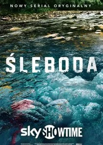 Plakat Śleboda