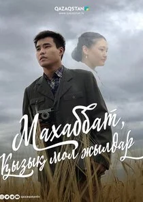 ÄĹ›ÄÂ°Ĺâ€¦ÄÂ°ÄÂ±ÄÂ±ÄÂ°Ĺâ€š, Ĺ‡â€şĹâ€ąÄÂ·Ĺâ€ąĹ‡â€ş ÄÄ˝ÄÄľÄÂ» ÄÂ¶Ĺâ€ąÄÂ»ÄÂ´ÄÂ°Ĺâ‚¬ Poster