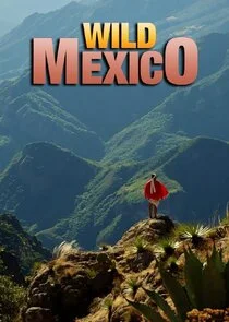 Póster de Wild Mexico