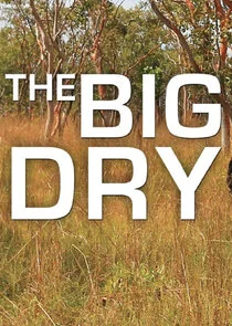 Póster de The Big Dry