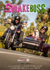 Affiche de Snake Boss